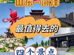 -曹州牡丹园