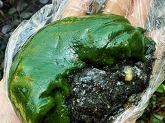 -白玉兰食品(中山公园龙之梦店)