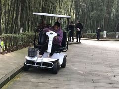 -邓小平故里