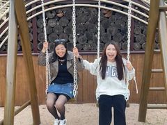 -黄海国家森林公园