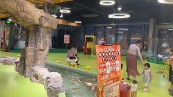 -七巧国萌宠乐园(龙湖天街店)