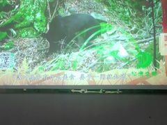 -华夏良子·足道SPA艾灸(开源店)