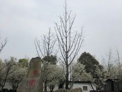-杭州湾海上花田景区