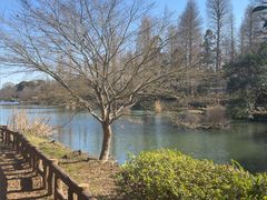 -井之头恩赐公园