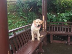 -蔡家宅
