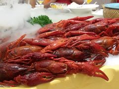 -新日月育才大酒店-中餐厅(环城北路店)