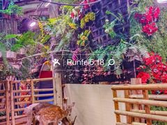 -正佳雨林生态植物园