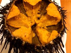 -海胆小馆(东北水饺·春柳店)