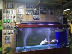 很多成功前辈-红山会健身·普拉提(广安门店)