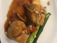 -新加坡瑞士史丹福酒店