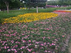 -长春公园(普阳街道)