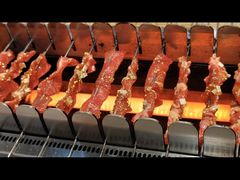 -邢氏老太太烧烤(南山店)