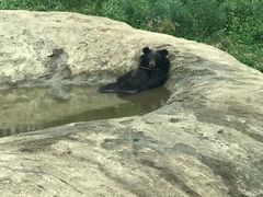 -西安秦岭野生动物园