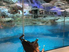 -帝企鹅自助餐厅•儿童岛•真企鹅(长隆企鹅酒店)