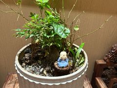 -老北门饭店(水阁路店)