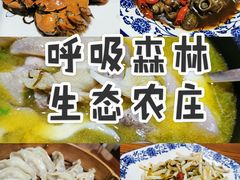 蒸饺-呼吸森林·生态农庄农家乐私房菜