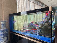 -瑞博尔花园酒店(太周创新产业园店)