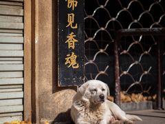 -葑门横街