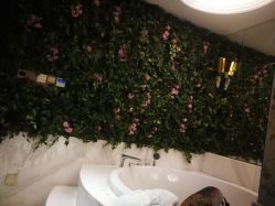 -水女人科技美肤·LDM·超清秀