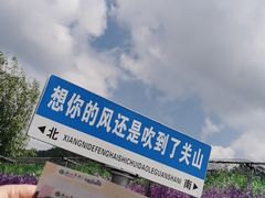 -关山草原