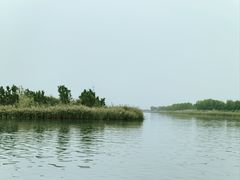-南大港湿地风景区