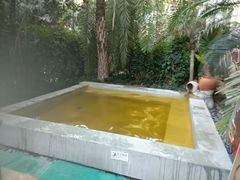 -仁爱团泊湖温泉中心