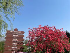-苏州上方山国家森林公园