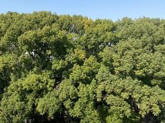 -上海虹桥迎宾馆