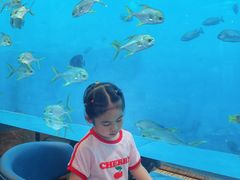 -瑞德姆美人鱼海底演艺主题餐厅(亚龙湾店)