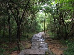 -武夷山风景名胜区-虎啸岩