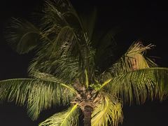 -Sunset Bar(丹绒亚路香格里拉店)