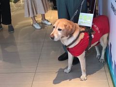 -百丽宫影城(CGS激光苏宁广场店)
