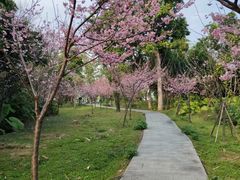 -福建鲤鱼洲酒店