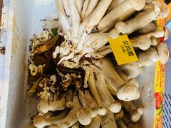 -菌海森林·非遗野生菌火锅(西山区滇池路摩根道店)