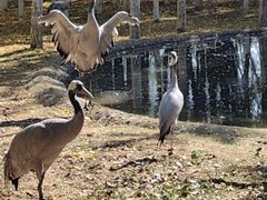 -艾溪湖湿地公园