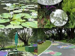 -云溪植物园