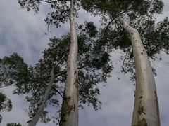 -火炉山森林公园