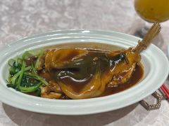 -新光酒家·河豚·海鲜·蟹料理(浦东店)