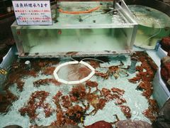 -札幌かに本家(福岡那の川店)