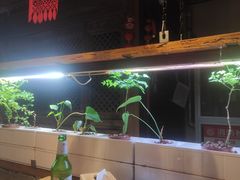 -望京一号·重庆江湖菜(工体店)