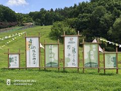 -吉林市朱雀山国家森林公园
