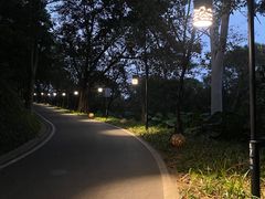 -广州雕塑公园