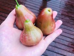 -三亚湾红树林度假世界(木棉酒店)