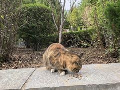 -四门塔风景区