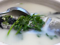-天乐农家鱼头王(天目湖店)