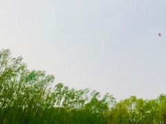 -长白岛森林公园