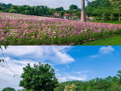 -广州莲花山旅游区