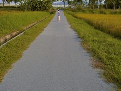 -光明小镇欢乐田园
