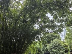 -成都市活水公园
