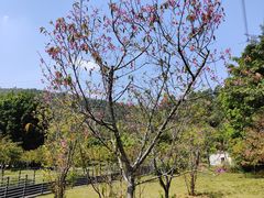 -中国移动南方基地